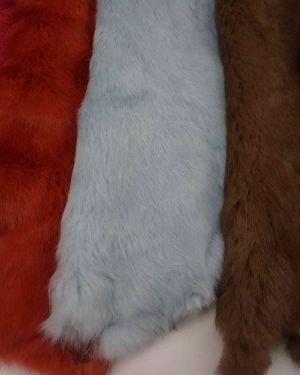 Pieles de conejo rabbit